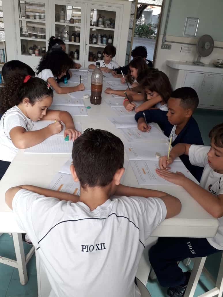 ESTUDANDO O SOLO – 4º ANO